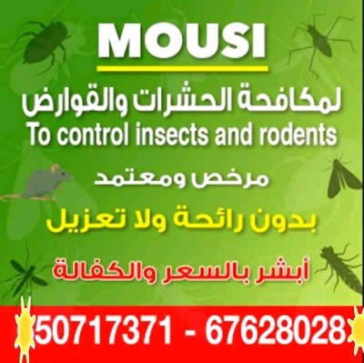 مكافحة الحشرات والقوارض بالكويت